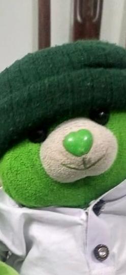 A green teddy bear wearing a white coat.
